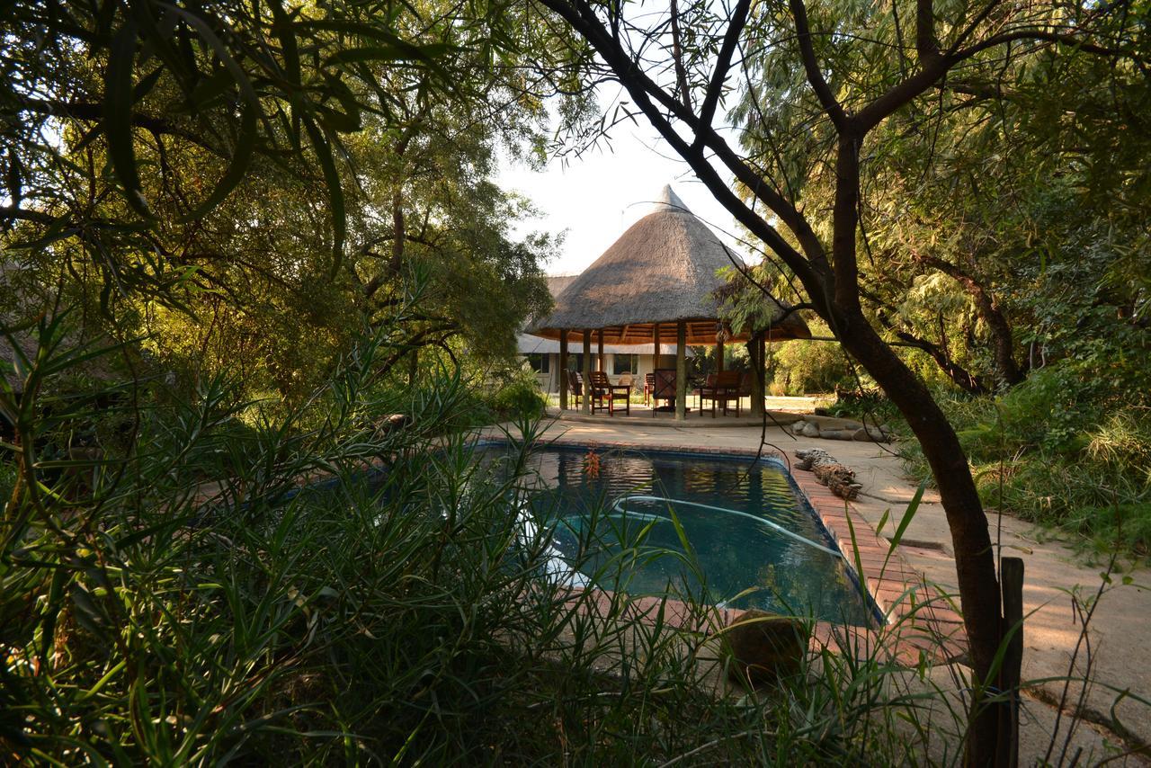 Touch Of Africa Lodge 拉塞利亚 外观 照片